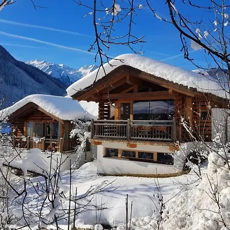 Schoeneben Schneerose Wald im Pinzgau