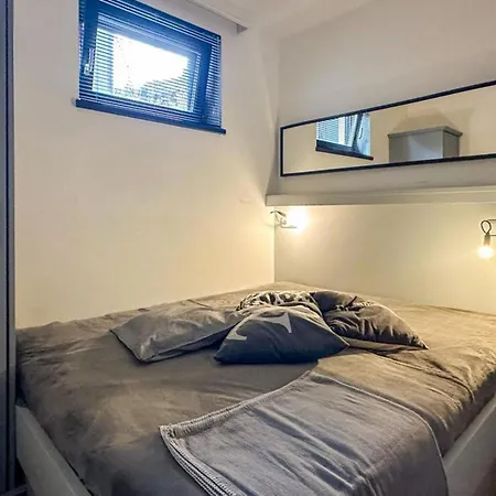 Schoeneben Schneerose Wald im Pinzgau