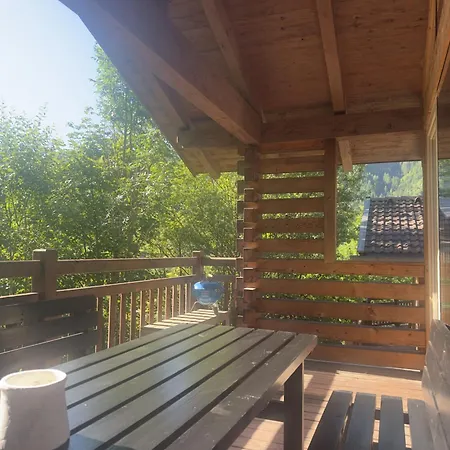 Schoeneben Schneerose * Wald im Pinzgau