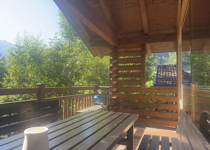 Schoeneben Schneerose * Wald im Pinzgau